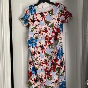 Pinkblush Small Maternity Dress